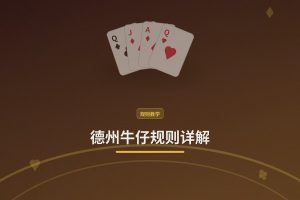 德州牛仔规则详解 - 德州牛仔规则详解：新手必看的玩法与牌型指南